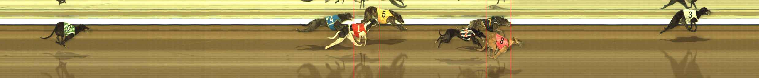 Race result finish photo